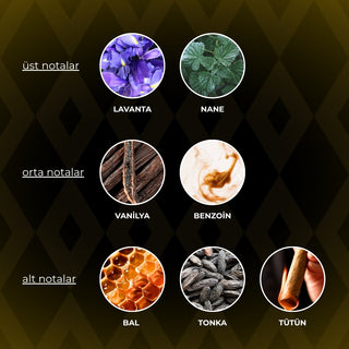 monsechia® Extravagant EDP 50ML | Erkek Parfüm